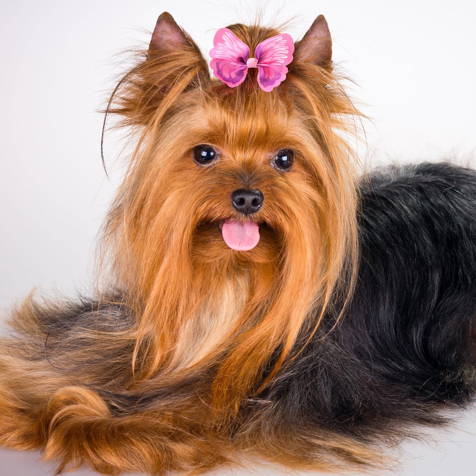 Janinka 36-piece pack provides versatile styling options for pets.