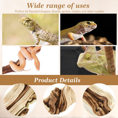 Janinka natural grapewood texture on branch adds authentic decoration for reptile habitats.