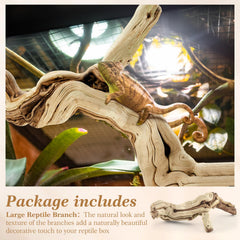 Janinka reptile branch 15-17in demonstrates adaptable size for fitting varied terrarium layouts.