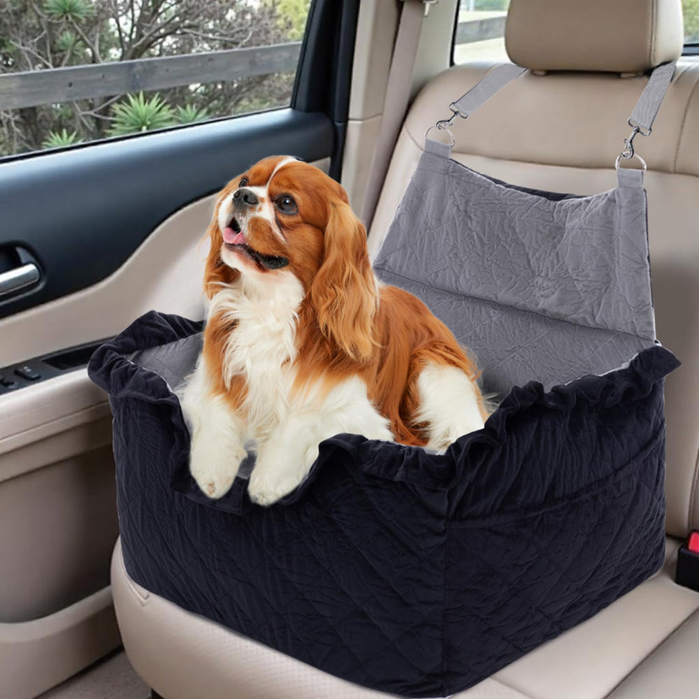 Jaoul clip-on safety leashes secure pets on the road.