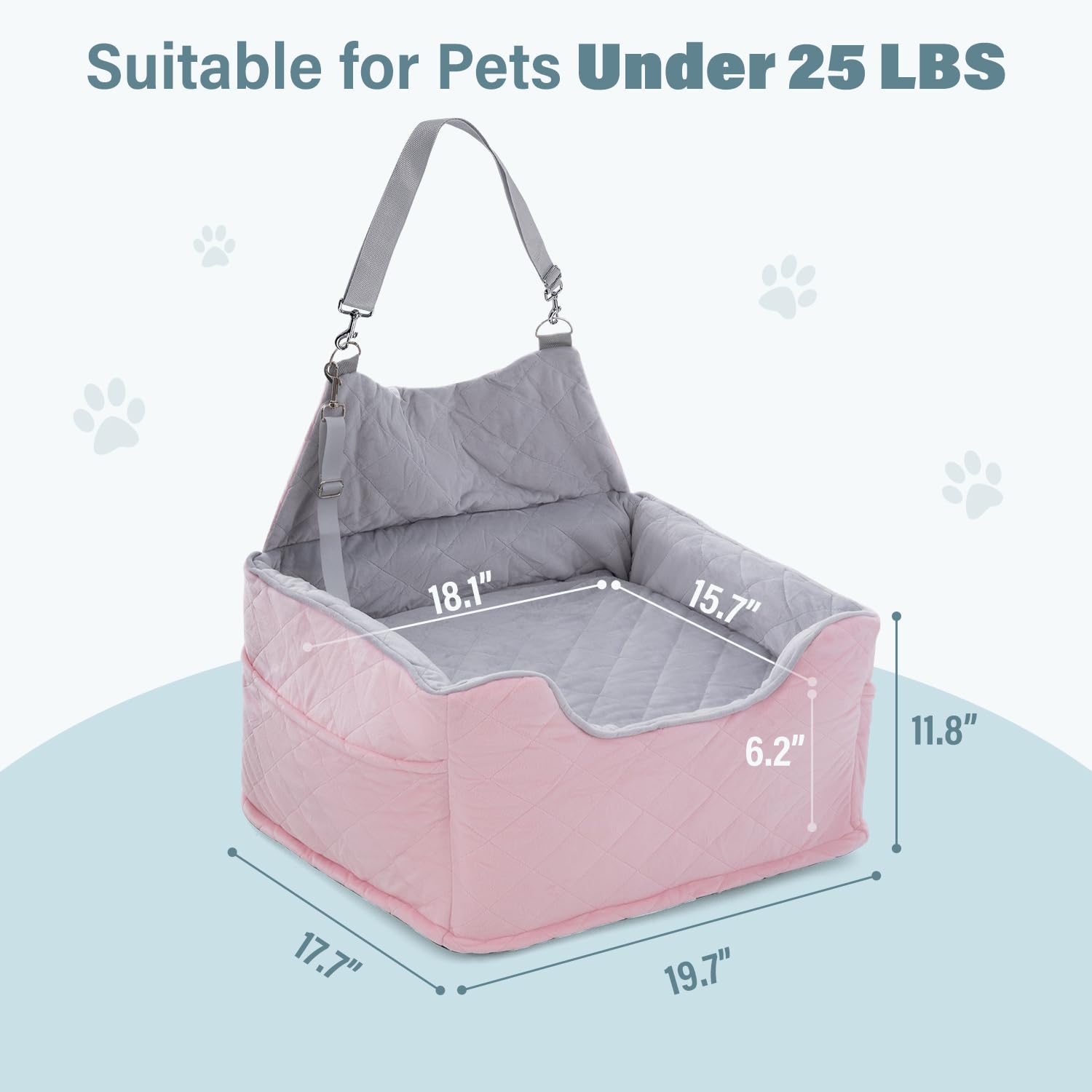 Jaoul dog booster with clip-on leashes highlights secure travel setup