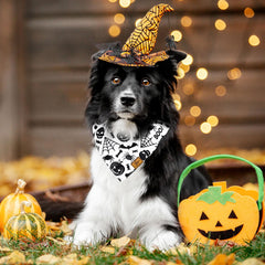 JarThenaAMCS Halloween dog bandana bats skull design highlights spooky costume looks.