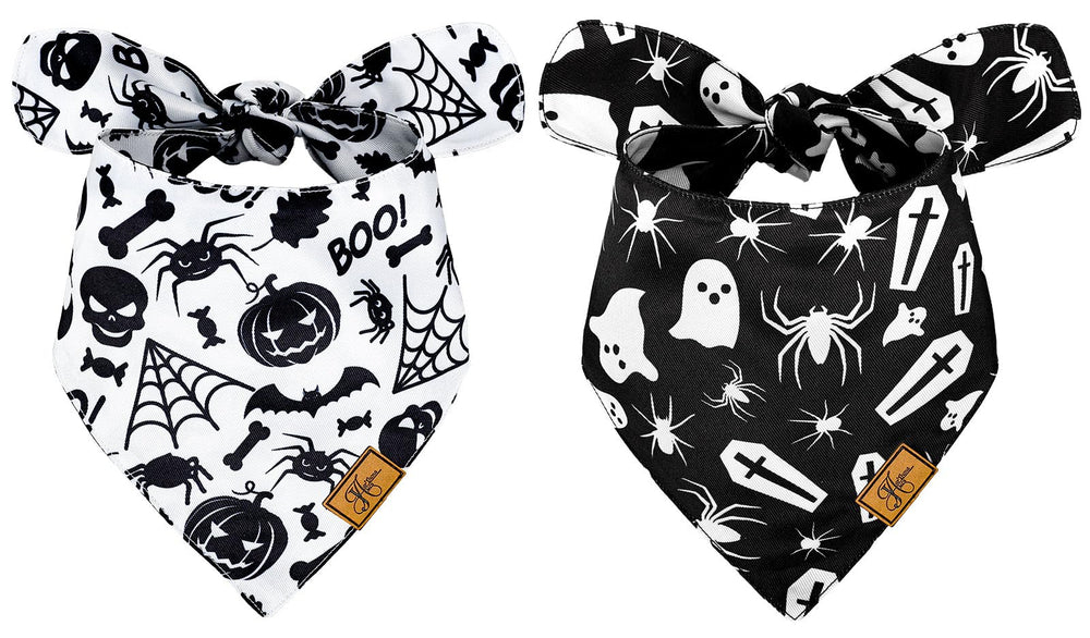 JarThenaAMCS Halloween dog bandana ghost pattern enhances festive photo moments.