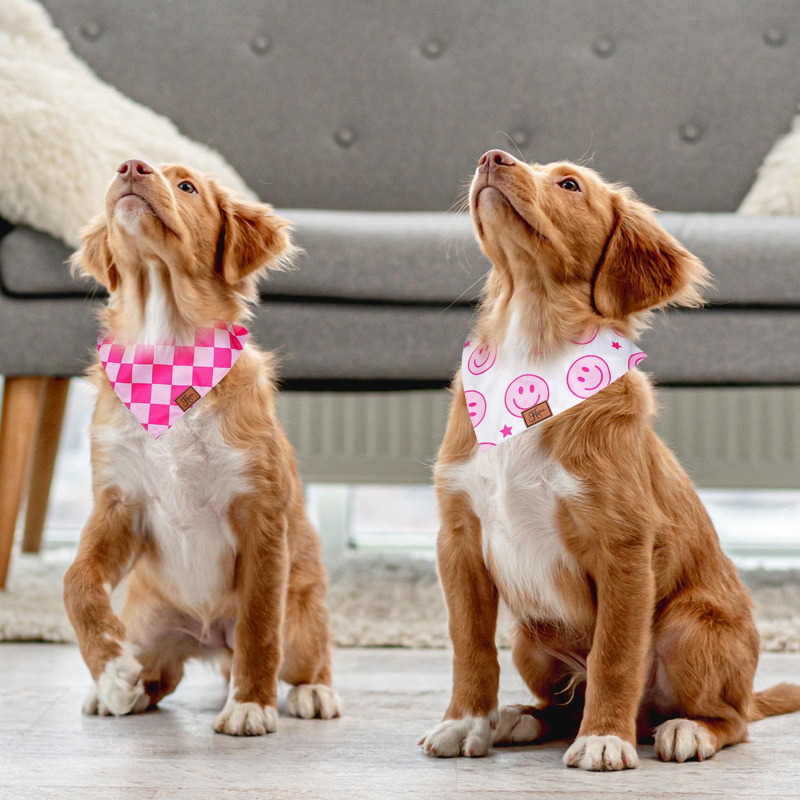 JarThenaAMCS medium-size dog bandana worn for comfortable neck coverage.