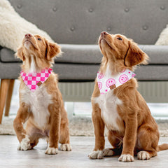 JarThenaAMCS medium-size dog bandana worn for comfortable neck coverage.