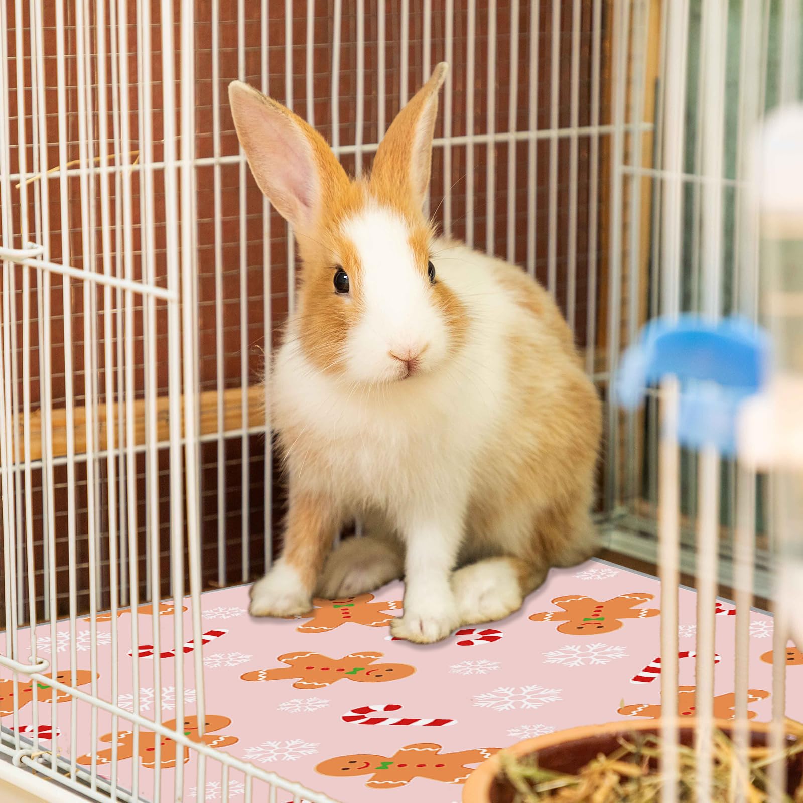 JarThenaAMCS multi-pet usage pads suit guinea pigs, rabbits, hamsters, chinchillas