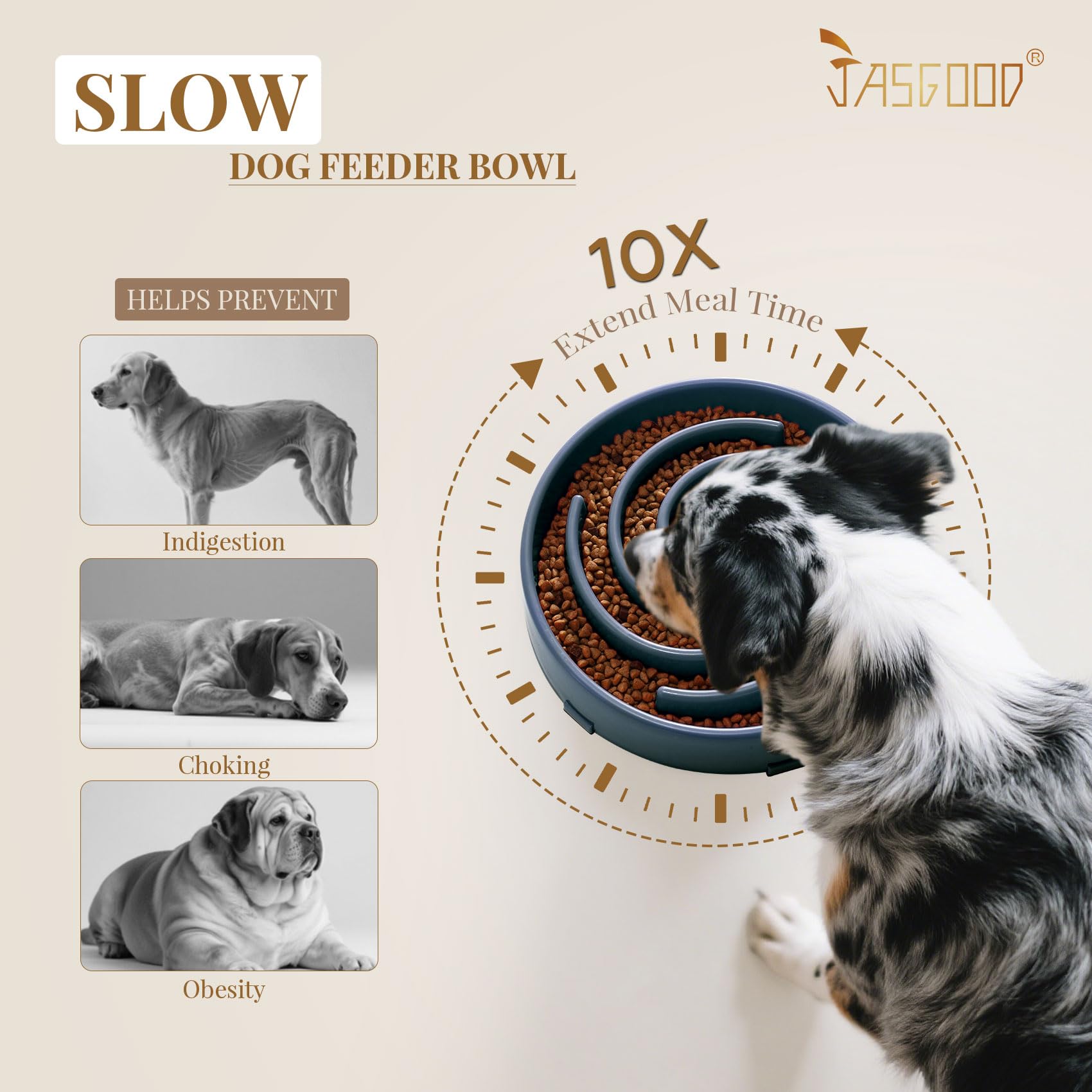 JASGOOD material seguro sin BPA para uso diario del perro.
