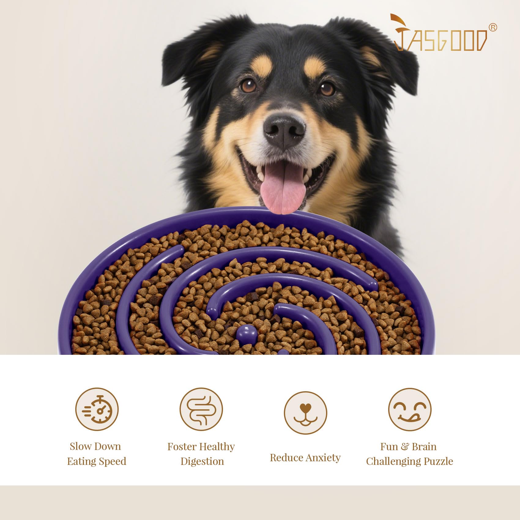 JASGOOD blue color option adds a vibrant, pet-friendly look