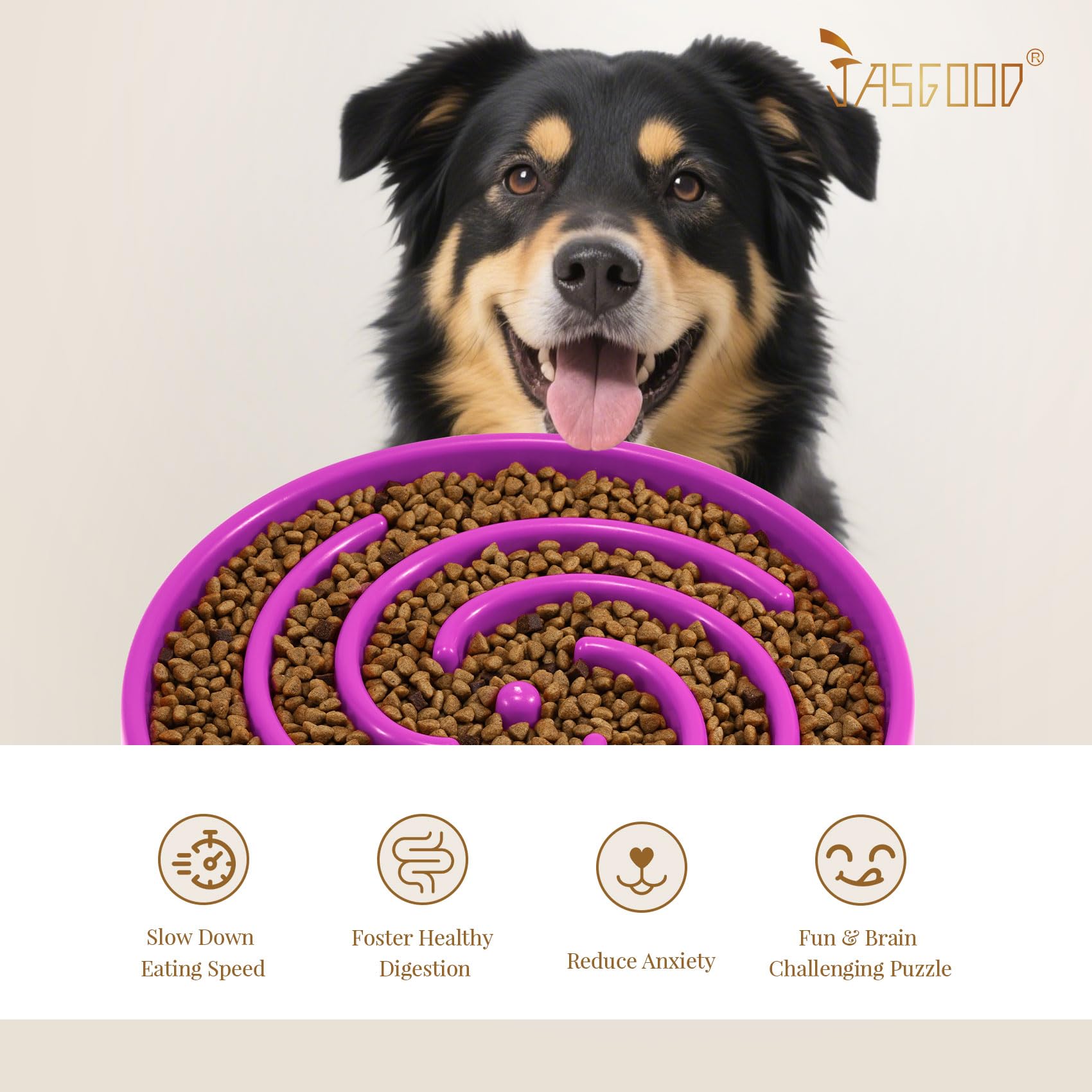 JASGOOD color options image displays multiple hues to match dog preference.