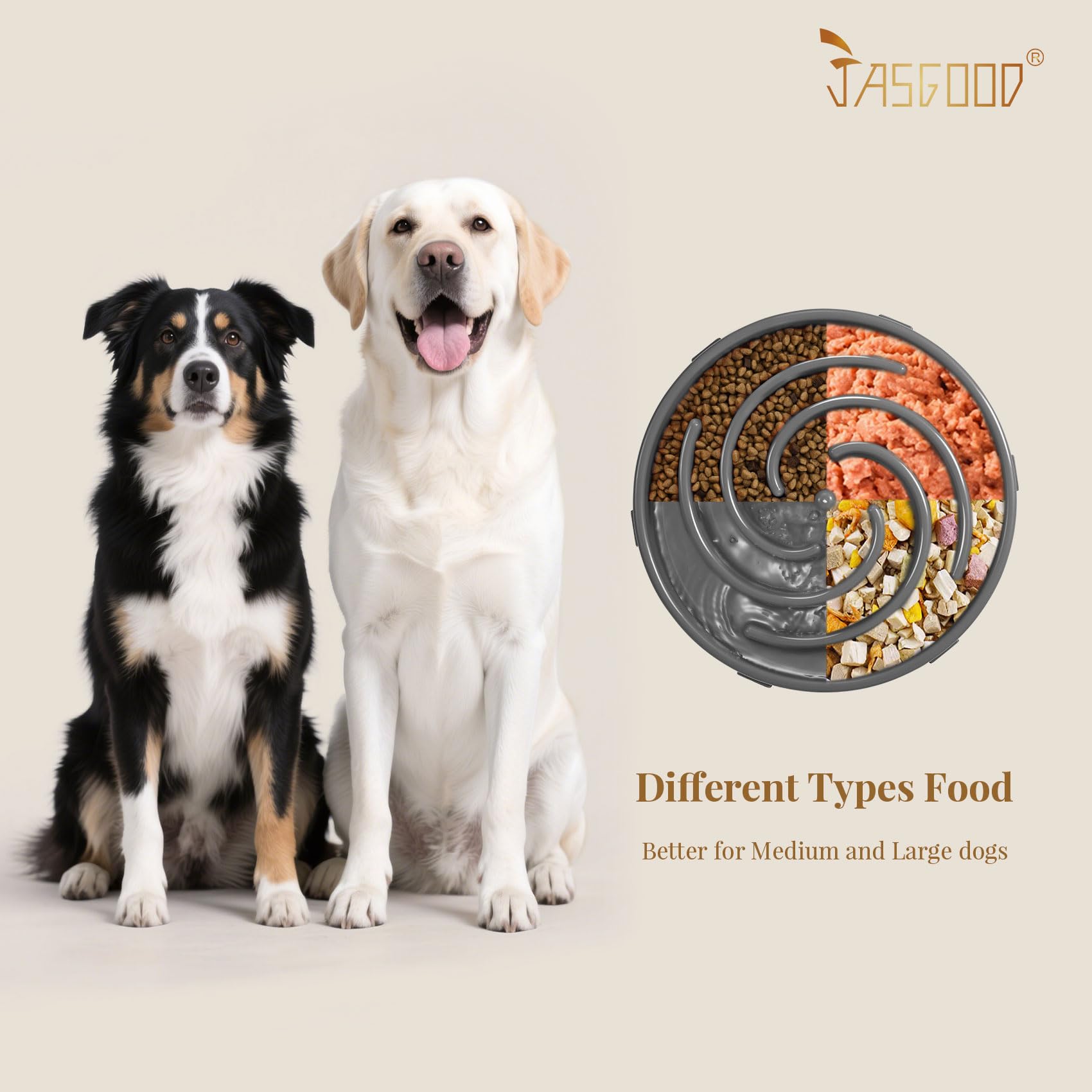 JASGOOD large-dog-friendly bowl supports big kibble meals and paced eating