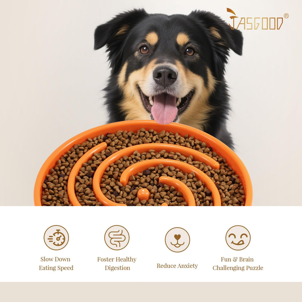 JASGOOD bowl is 4.5cm tall for steady, controlled portions.