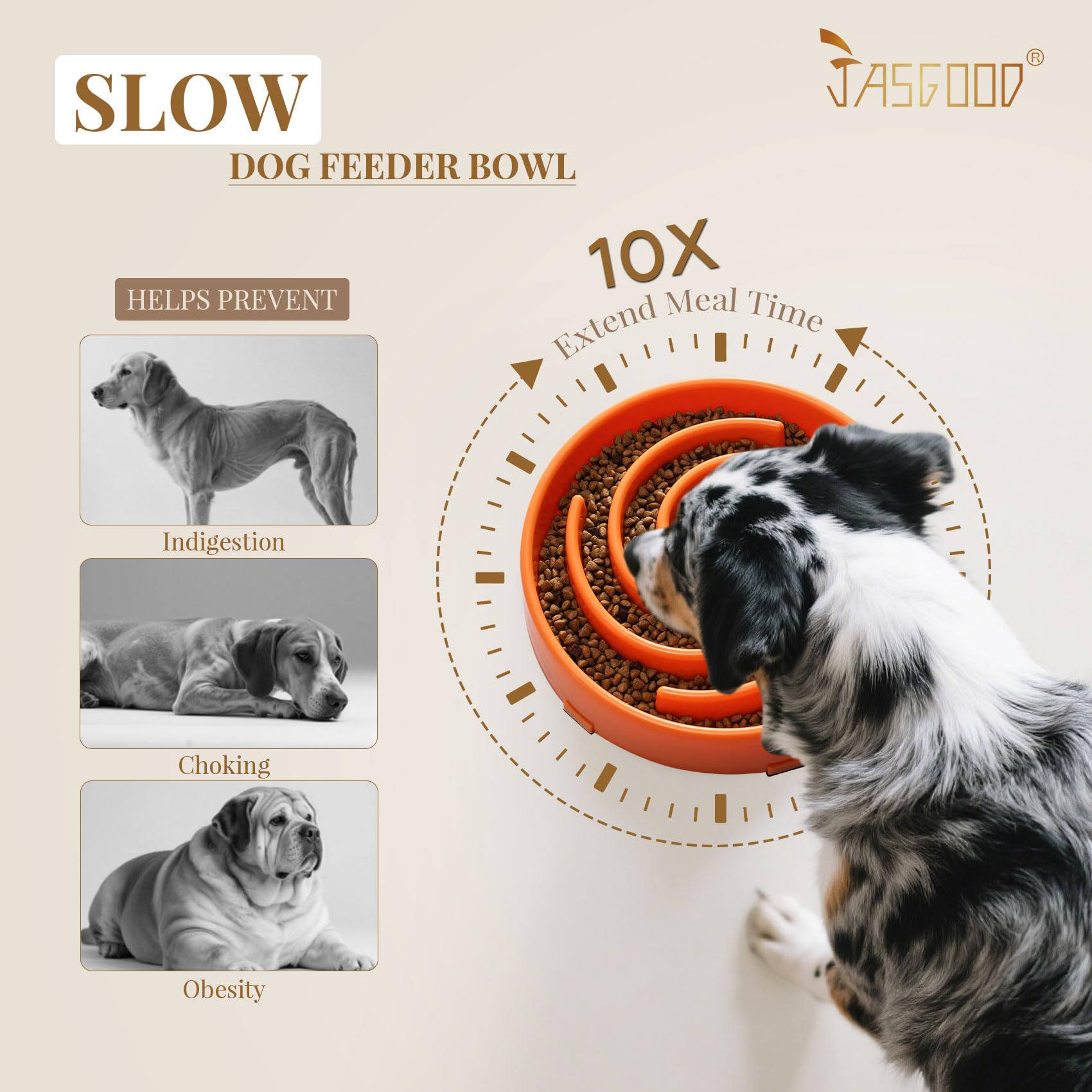 JASGOOD bowl features non-slip base to prevent sliding during eager eating.