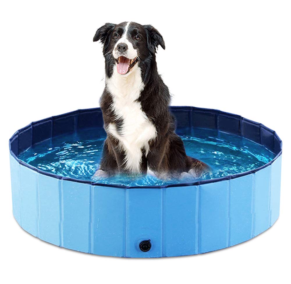 Jasonwell foldable dog pool blue side view for quick outdoor baths