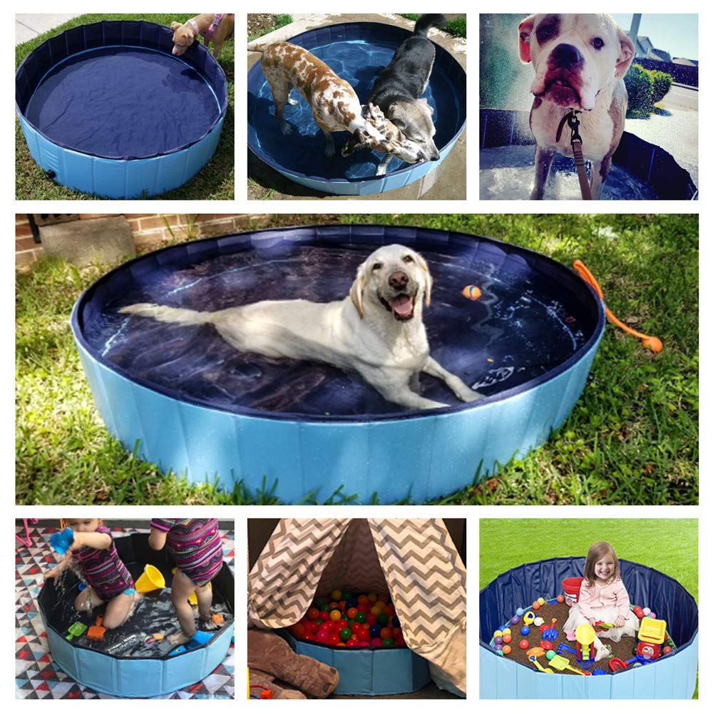 Jasonwell 63in blue dogs and cats using pool