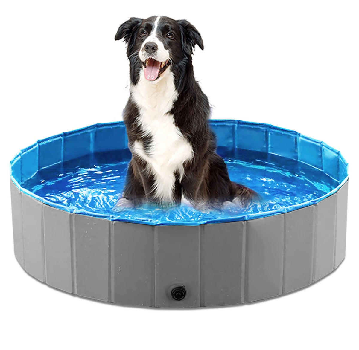 Jasonwell foldable dog pool setup demonstrates quick backyard assembly for playtime.