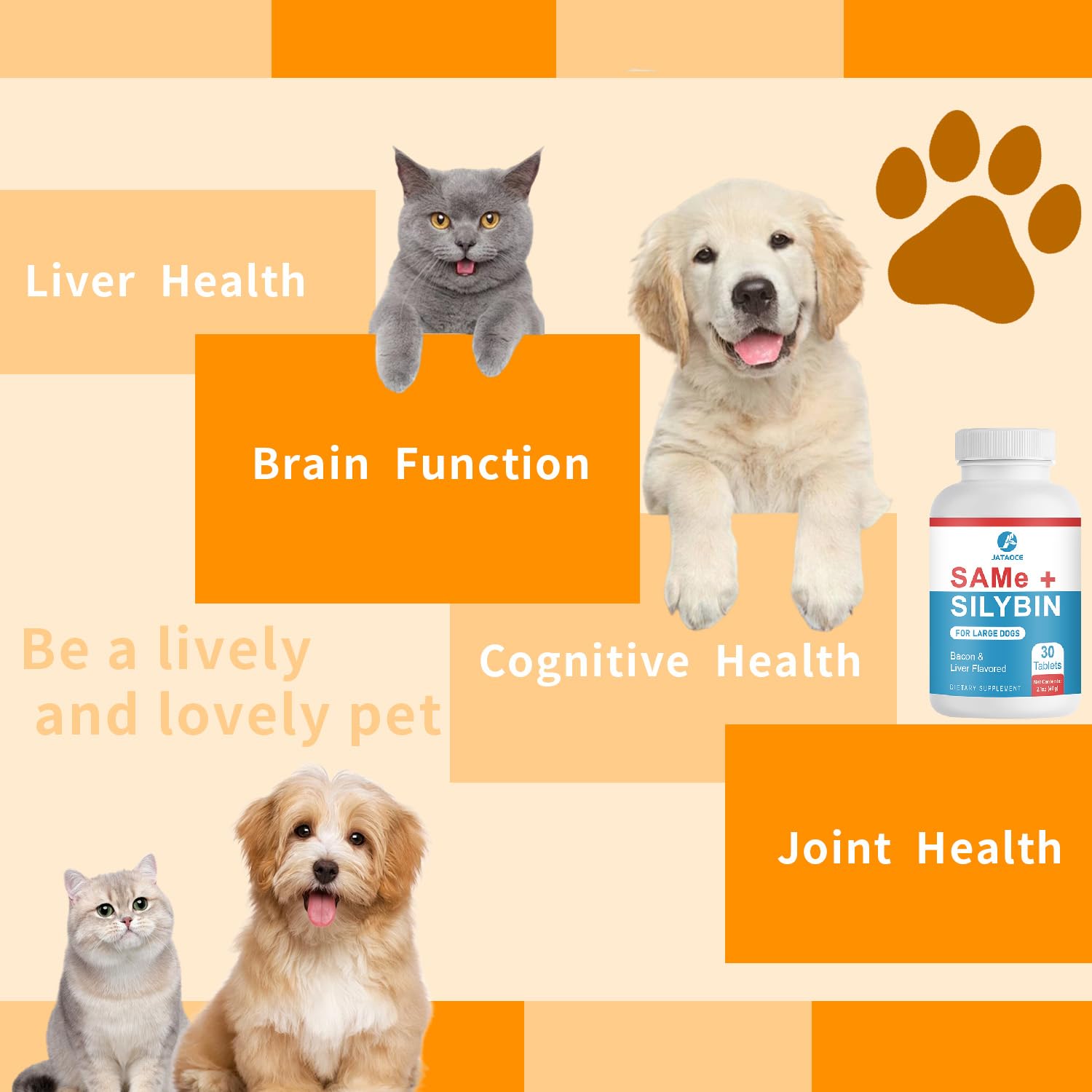 Jataoce brain-support formula for dogs, may support cognitive function.