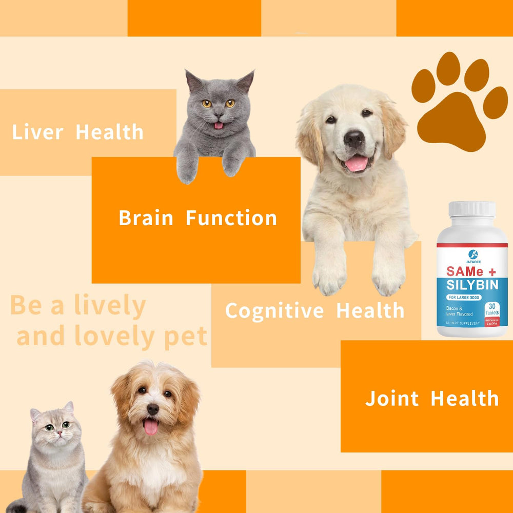 Jataoce brain-support formula for dogs, may support cognitive function.
