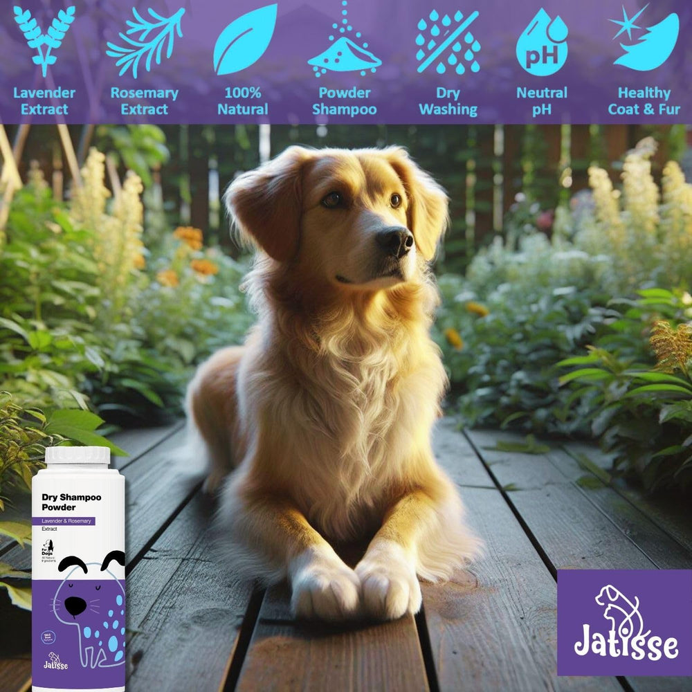 Jatisse infusion with herbs lavender and rosemary, creating a calming coat refresh.