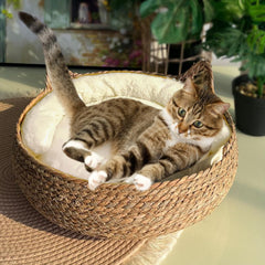 Jatmira Natural Cat Bed outer view highlights braided cattail nest for cozy naps