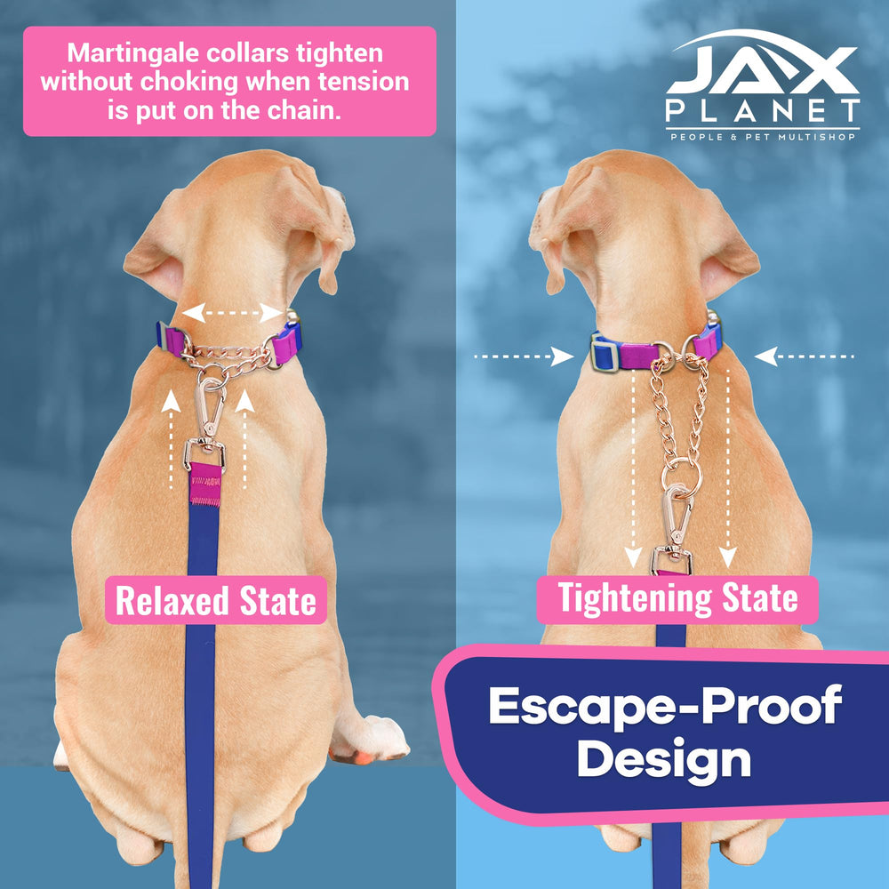 JAX PLANET adjustable stitching detail ensures secure fit for active dogs.