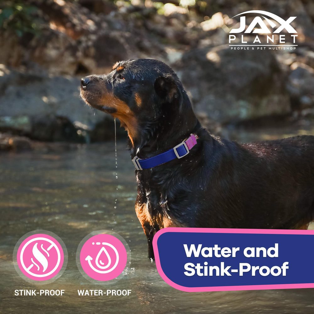 JAX PLANET blue-rose colorway adds stylish look for training and walking.
