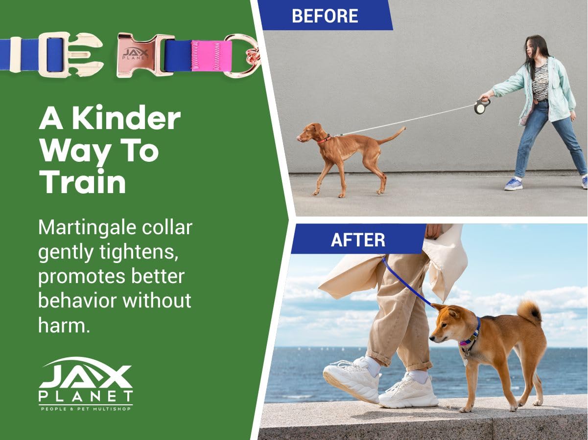 JAX PLANET outdoor-walking scenario shows durable collar during rain and activity.