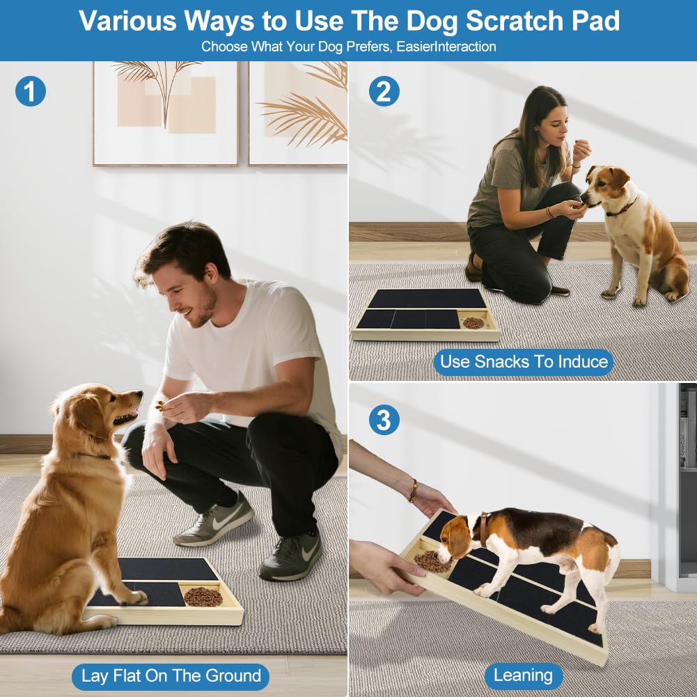 Jaxbo dog-nail scratch pad use case with Labrador demonstrates broad suitability.