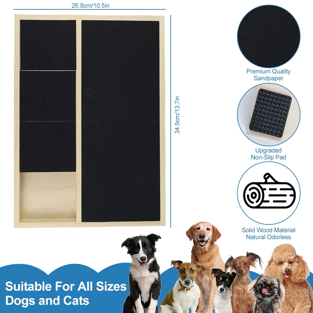 Jaxbo treat box closeup emphasizes built-in rewards that entice play and cooperation.