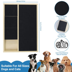 Jaxbo treat box closeup emphasizes built-in rewards that entice play and cooperation.
