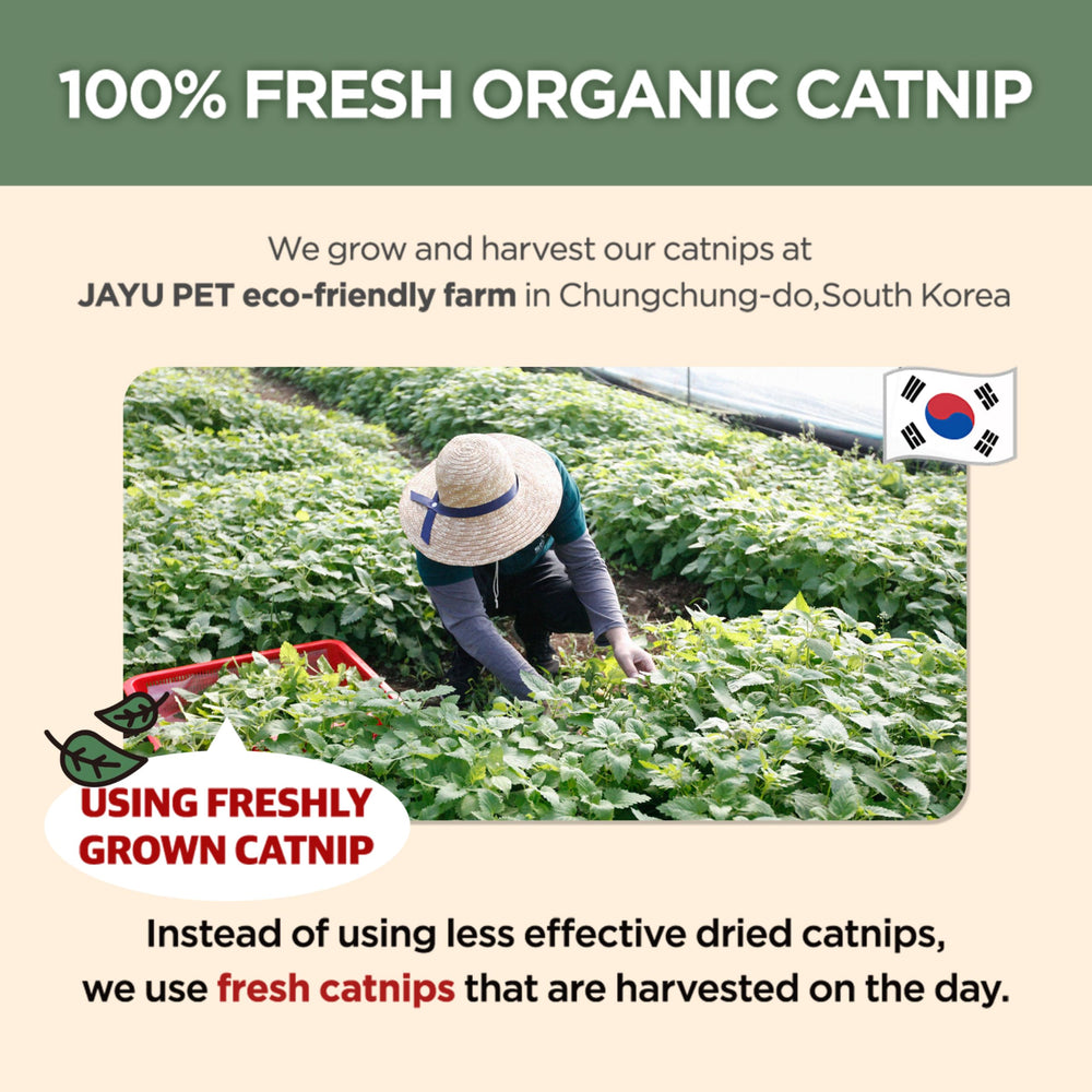 JAYU PET Active Catnip Spray transparent liquid highlights potent aroma for indoor cat enjoyment
