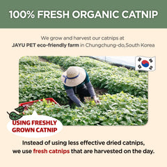 JAYU PET Active Catnip Spray transparent liquid highlights potent aroma for indoor cat enjoyment