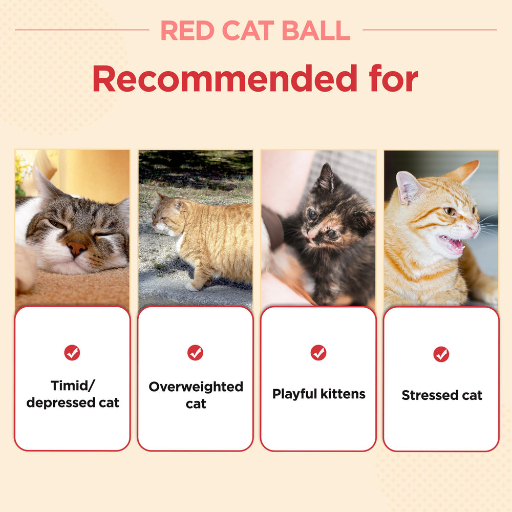JAYU PET Cat playing with red cat ball