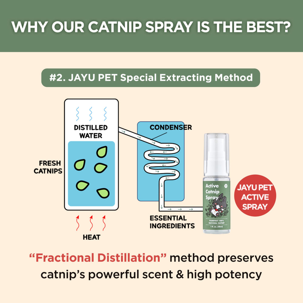 JAYU PET 1oz bottle front view highlights compact travel-friendly spray