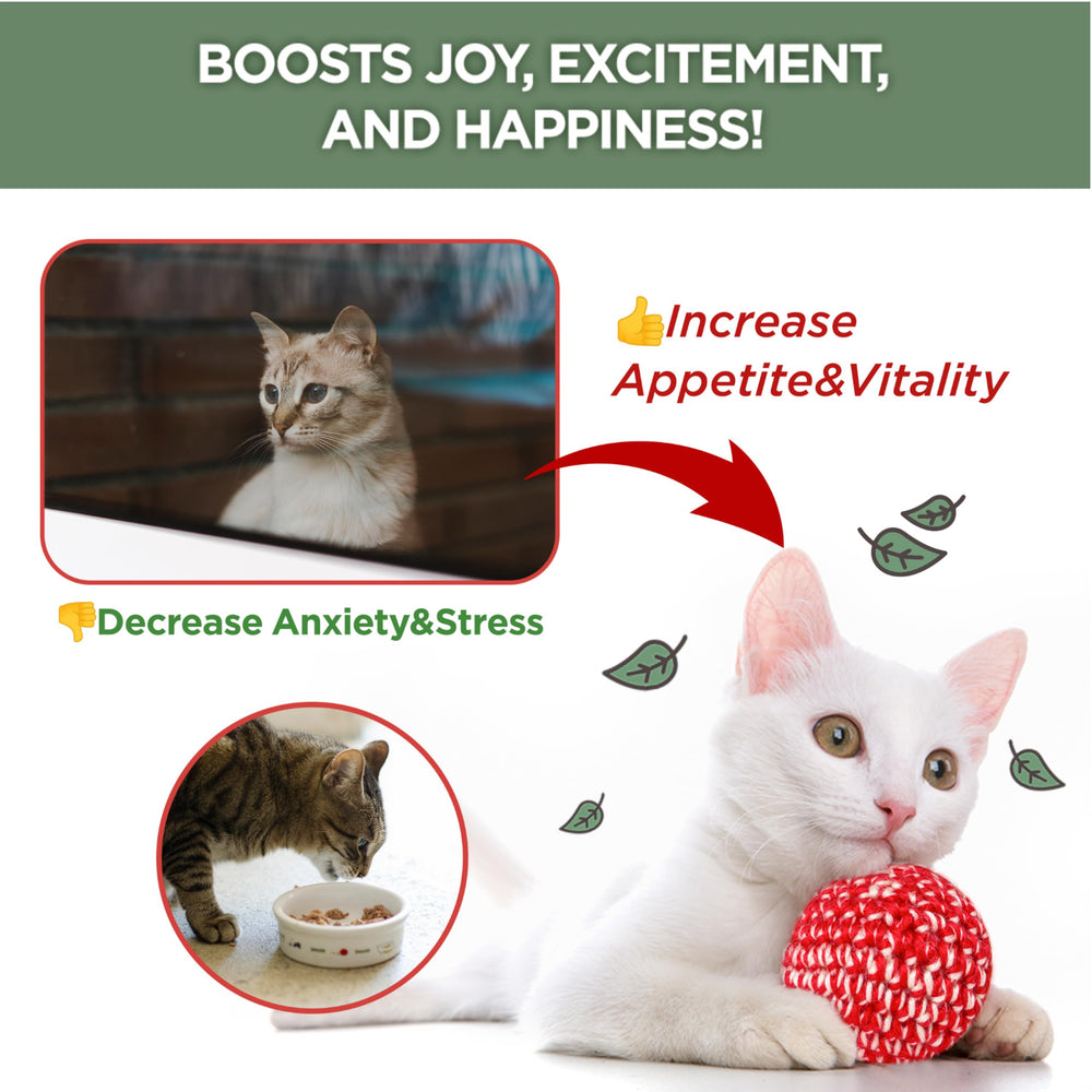 JAYU PET Bottle cap and label closeup demonstrates easy-dispense design