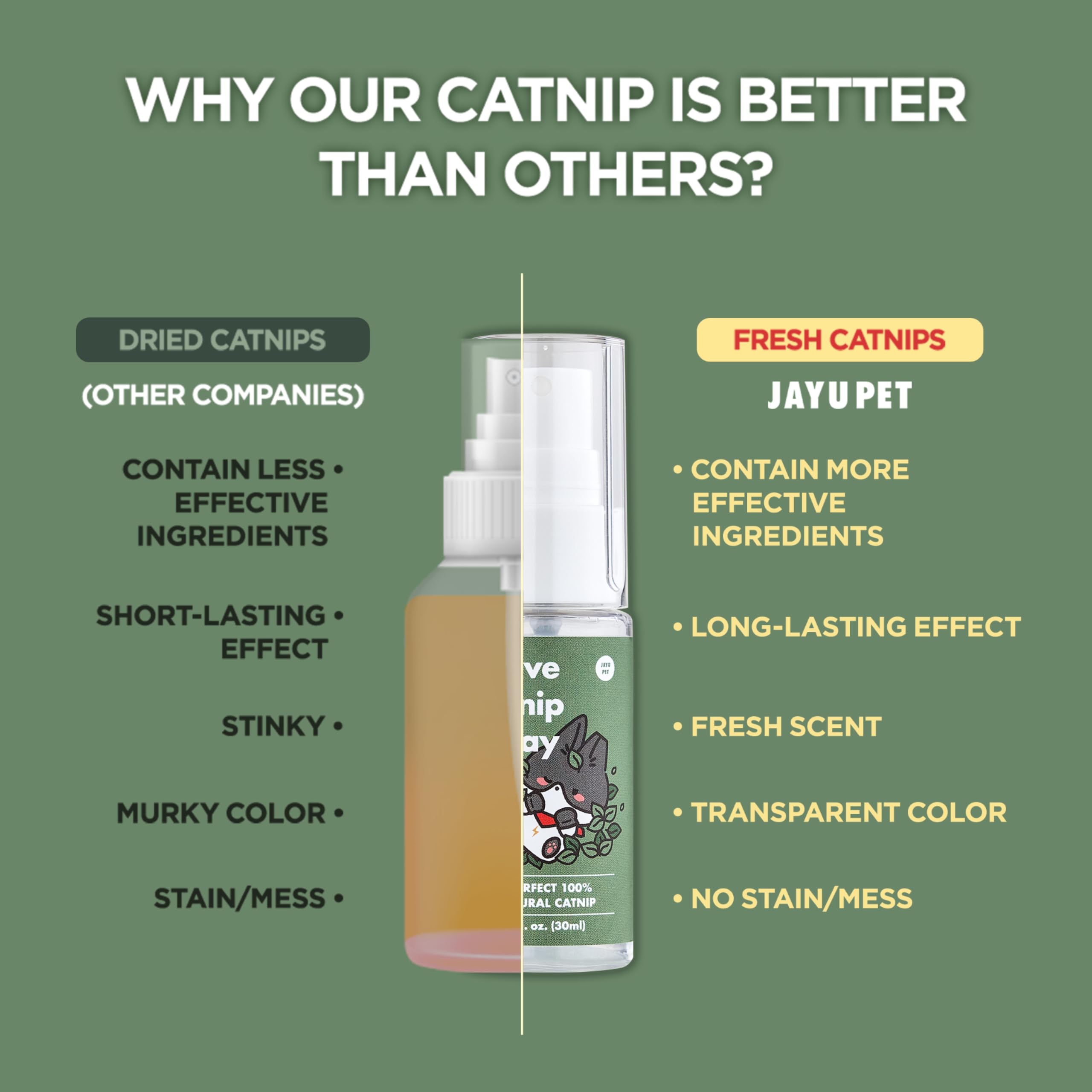 JAYU PET Catnip leaves fresh harvest illustrates natural source for stimulating play