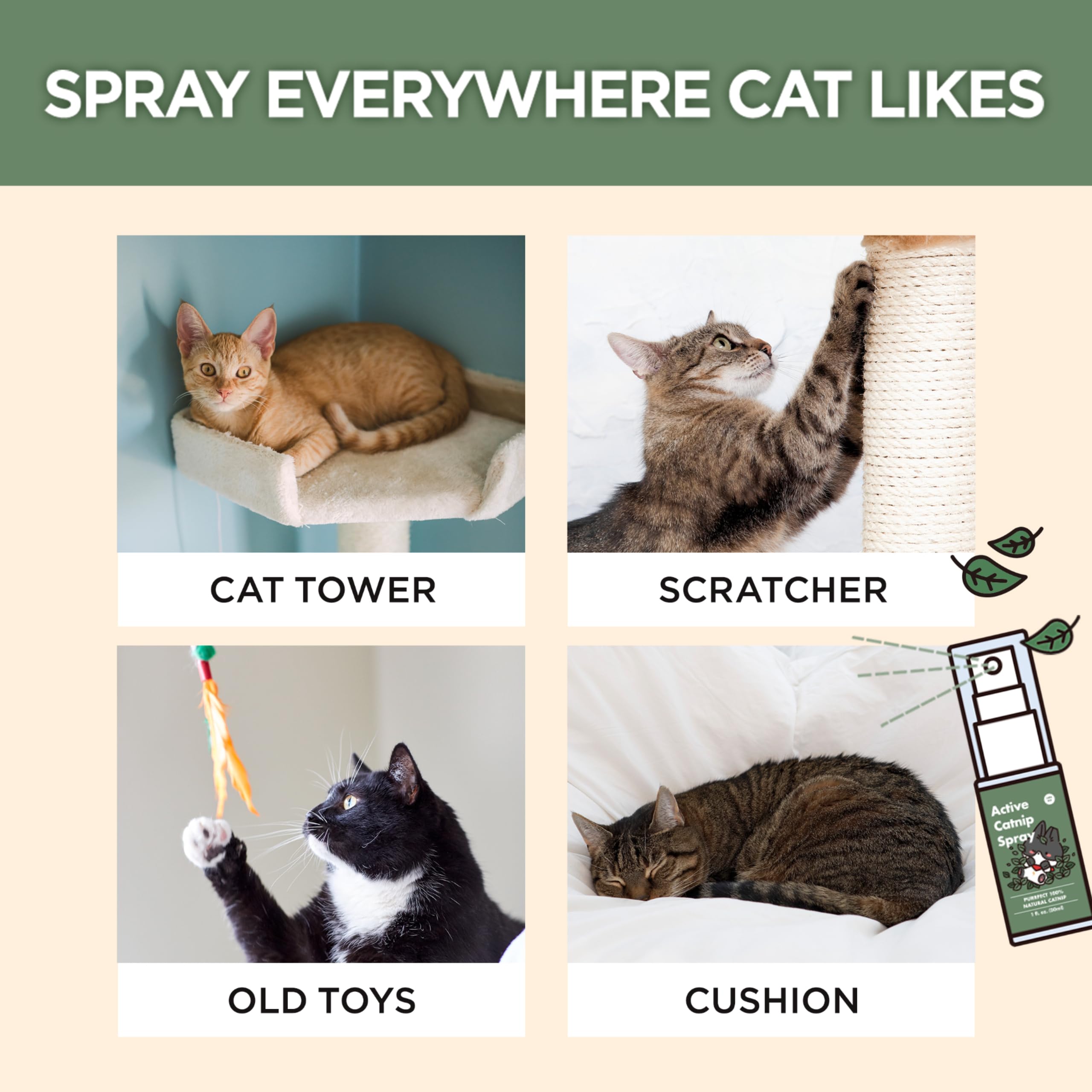 JAYU PET Spray dispersion action hints even mist coverage for versatile use