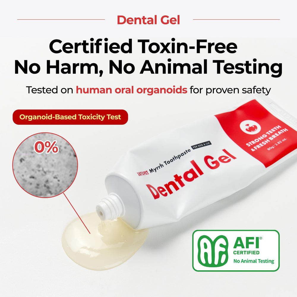 JAYU PET gel compatible with dental care brush for enhanced cleaning.