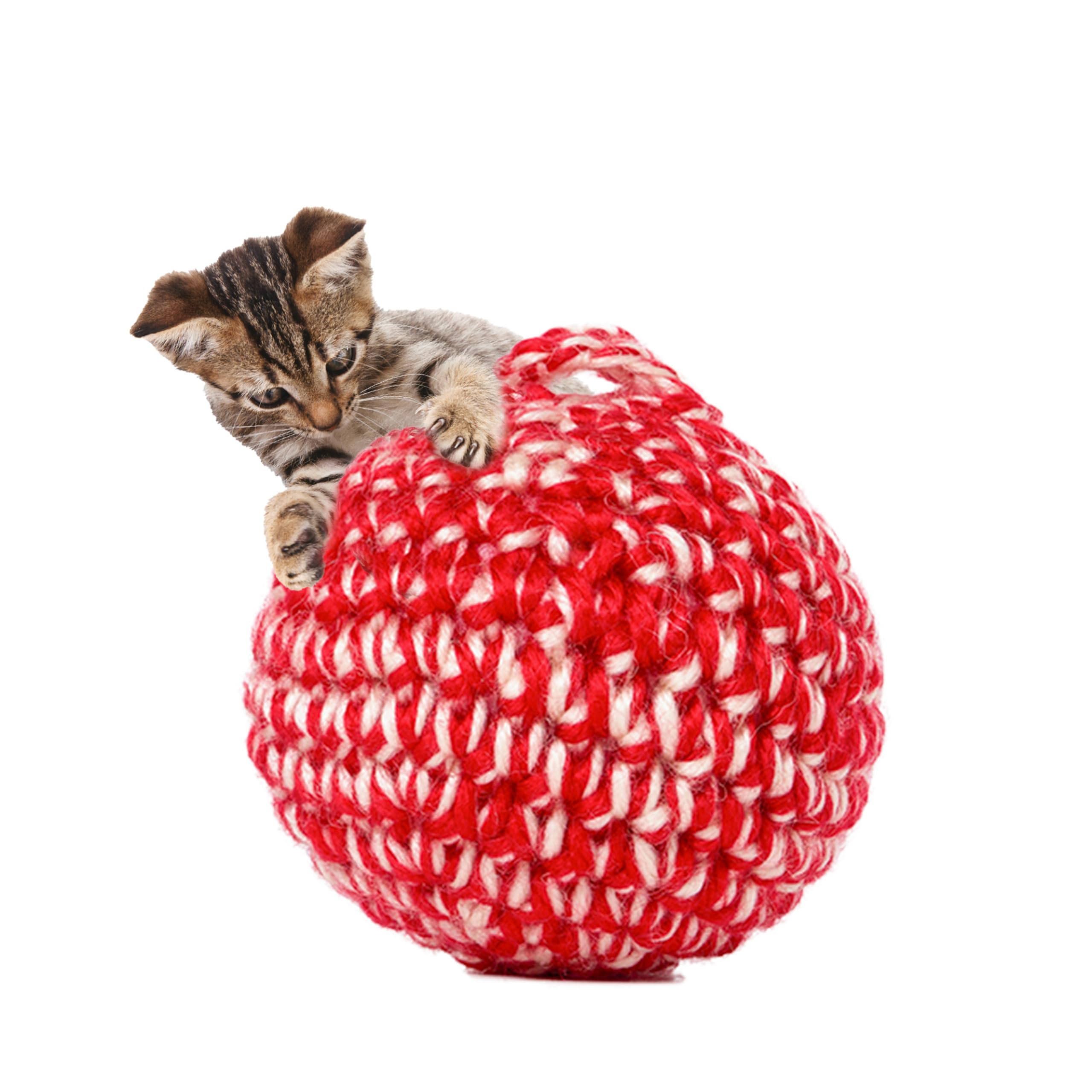 JAYU PET Red Cat Ball with Bell close-up for interactive play