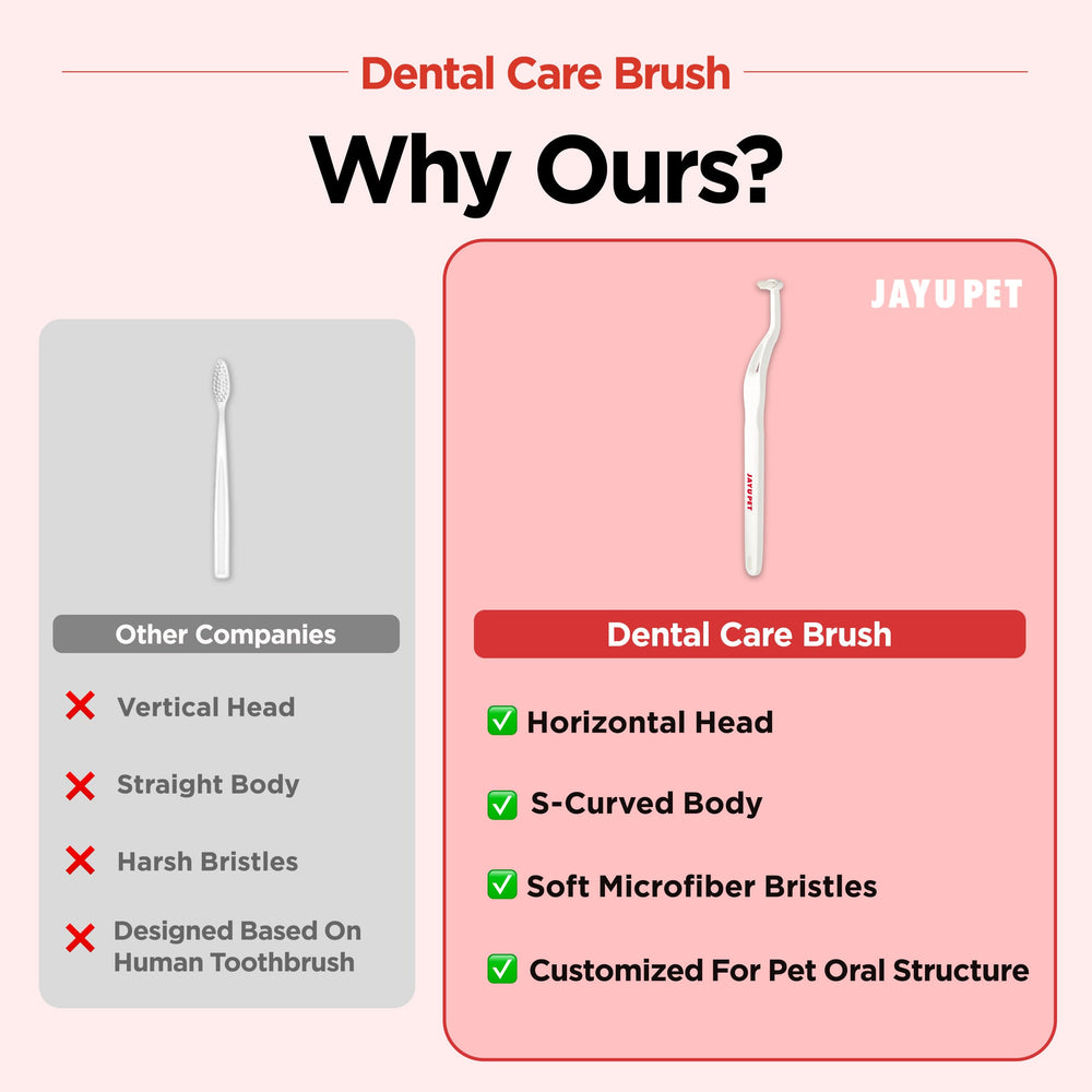 JAYU PET Dental Care Brush close-up of micro-bristles for gentle plaque removal
