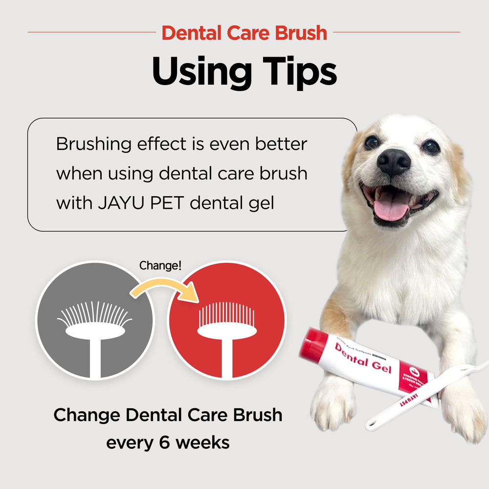 JAYU PET Dental Care Brush shown for cat use with soft bristles