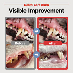 JAYU PET dental care brush head close-up highlighting ergonomic horizontal design.