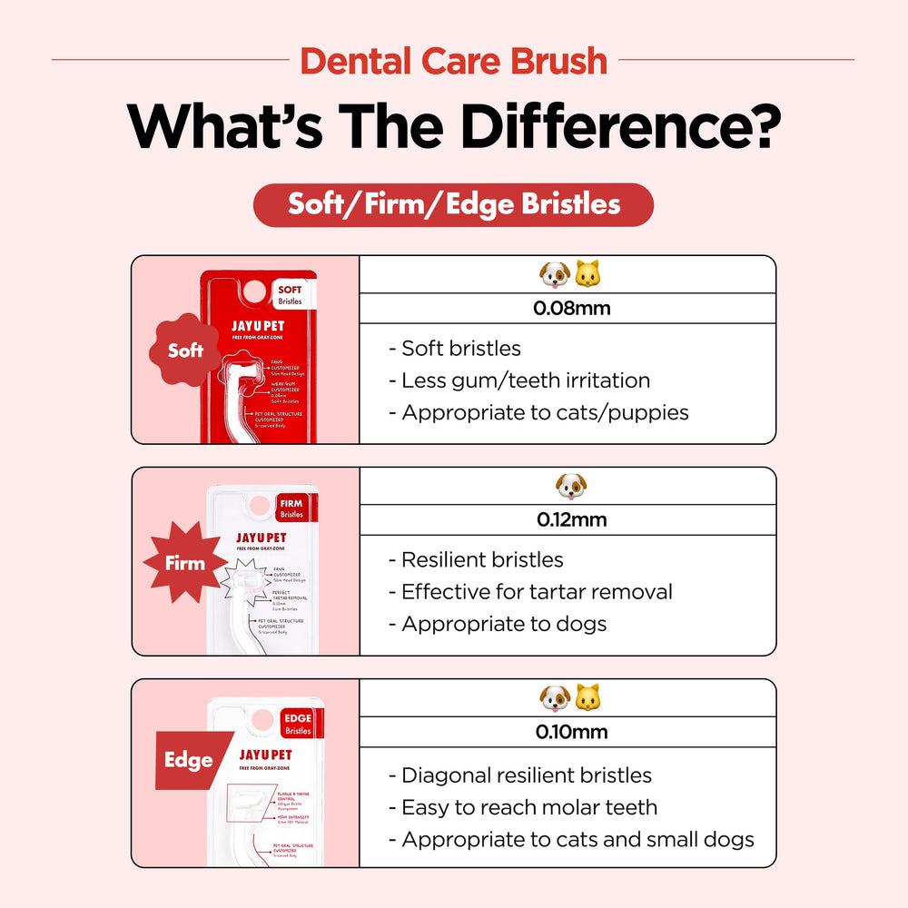 JAYU PET Dental Care Brush in use on a small dog for easy cleaning