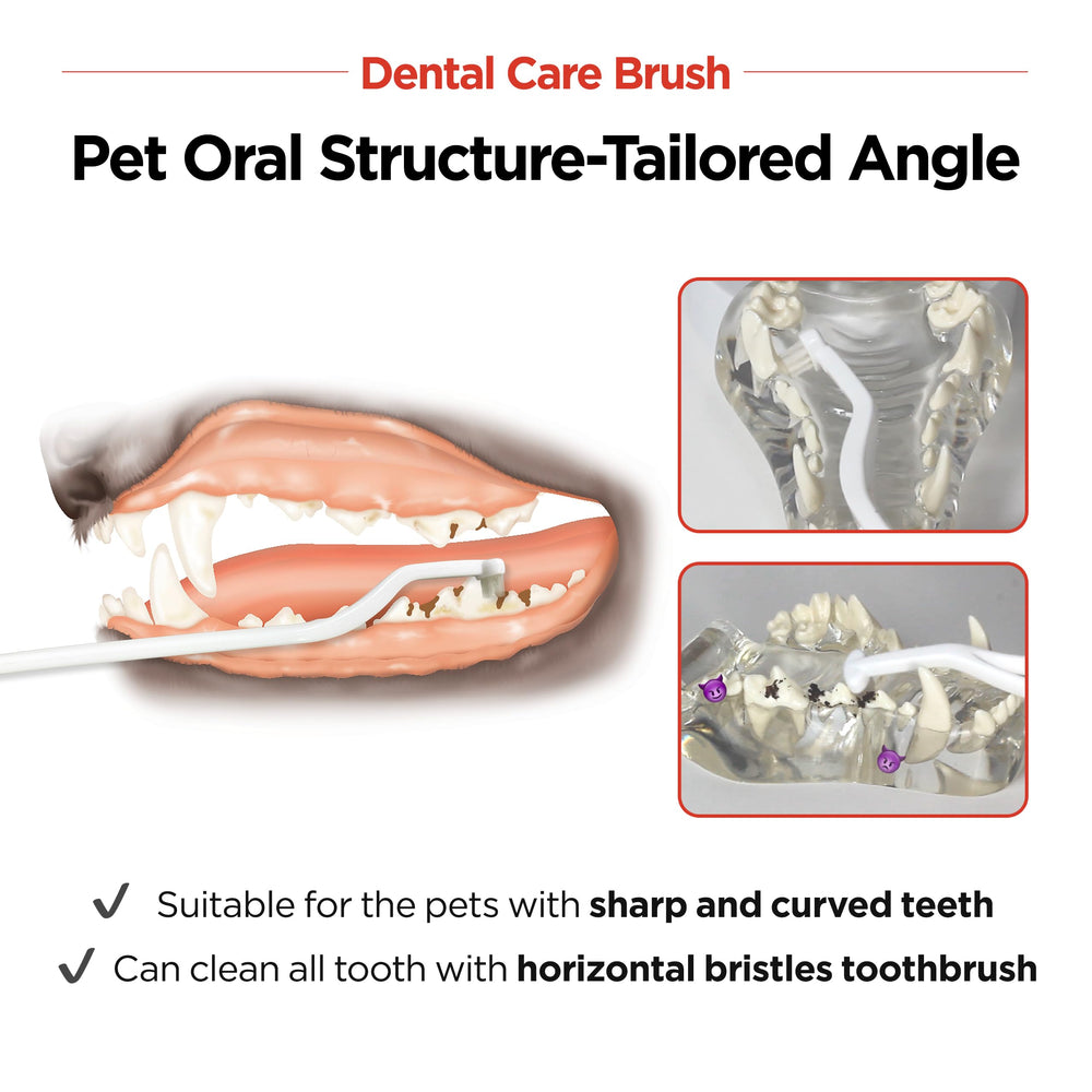 JAYU PET Dental Care Brush improves comfort during brushing for puppies and kittens