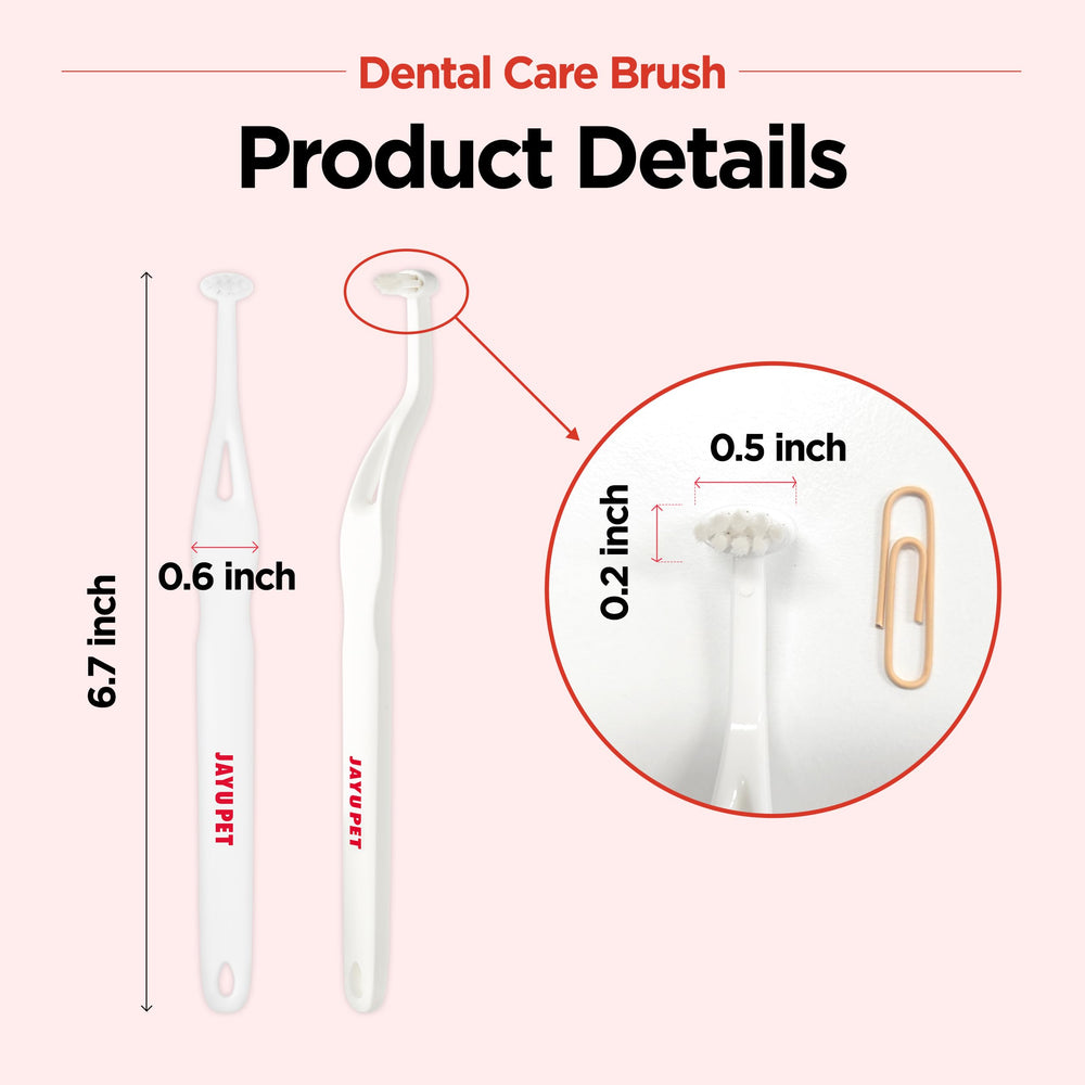 JAYU PET Dental Care Brush with Dental Gel pairing for enhanced cleaning