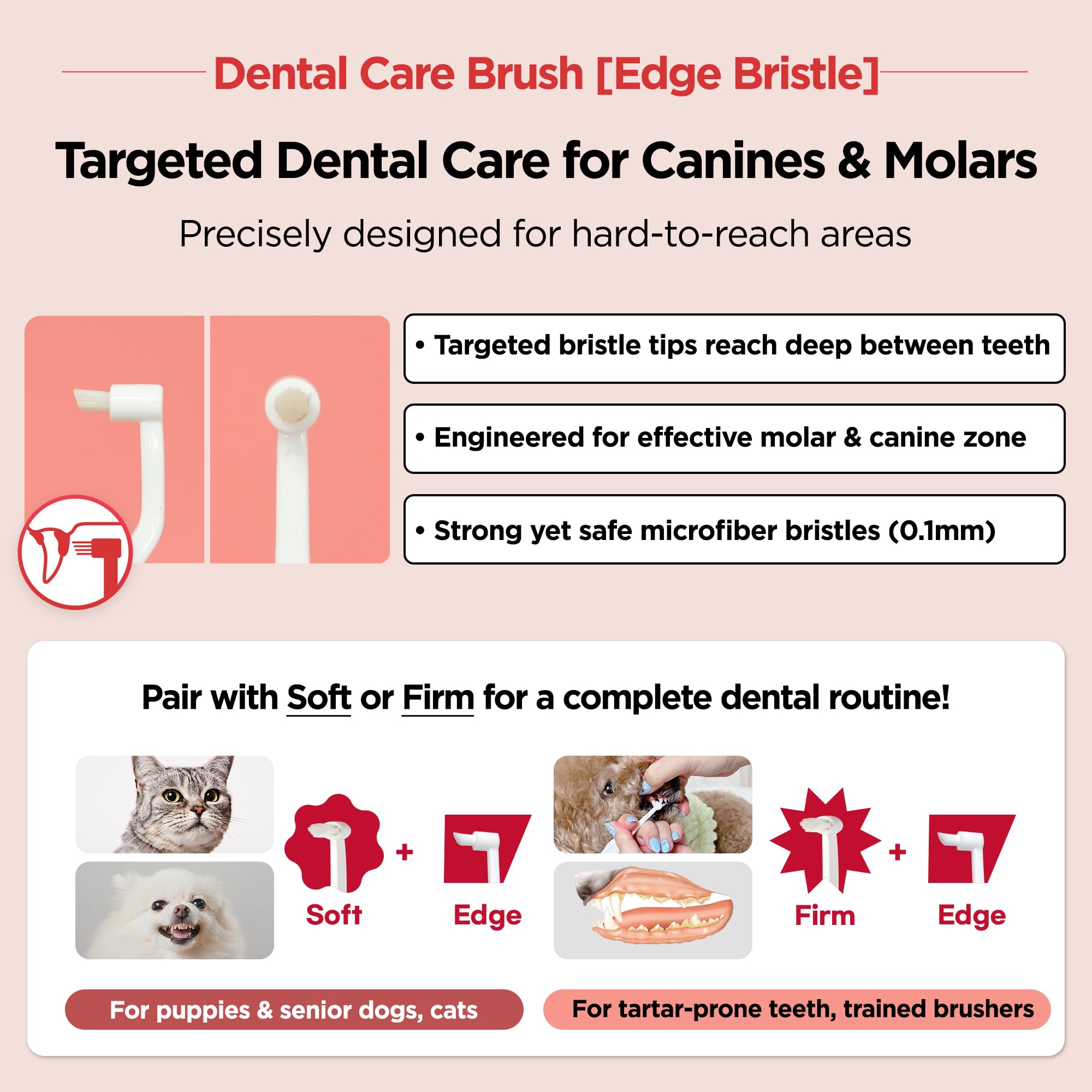 JAYU PET brush pairs with dental gel for enhanced brushing
