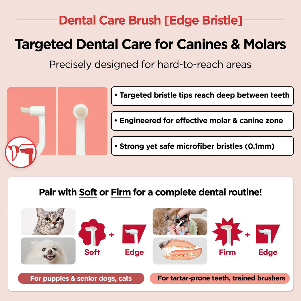 JAYU PET brush pairs with dental gel for enhanced brushing