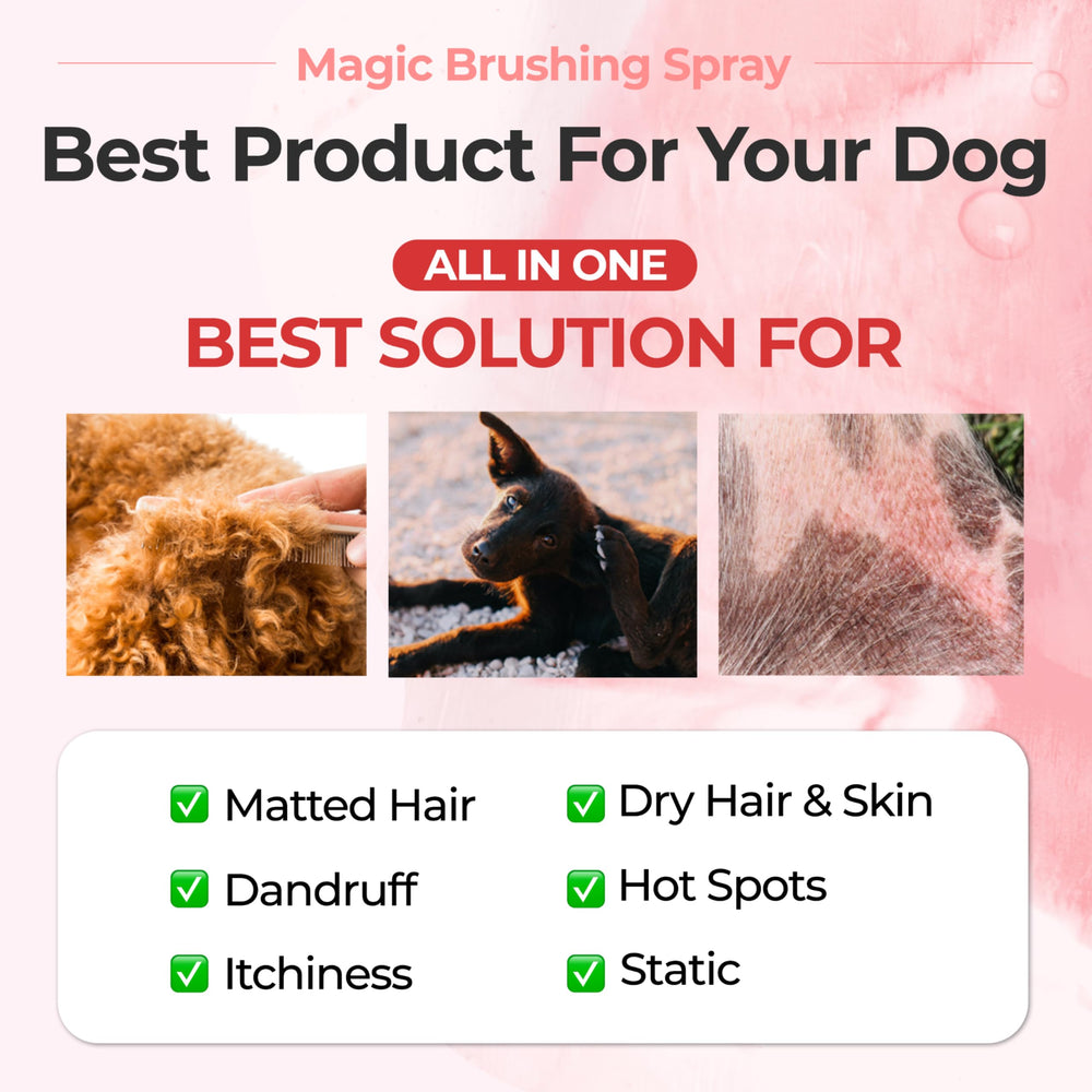 JAYU PET Magic Brushing Spray applied to dog coat for detangling and shine