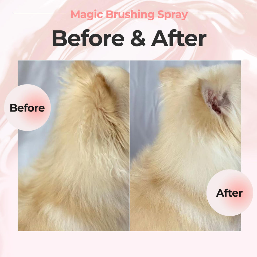 JAYU PET Magic Brushing Spray fine mist sprayer for even coverage