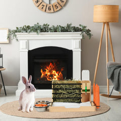 JAZUIHA dual bowls and carrot holder for varied meals.