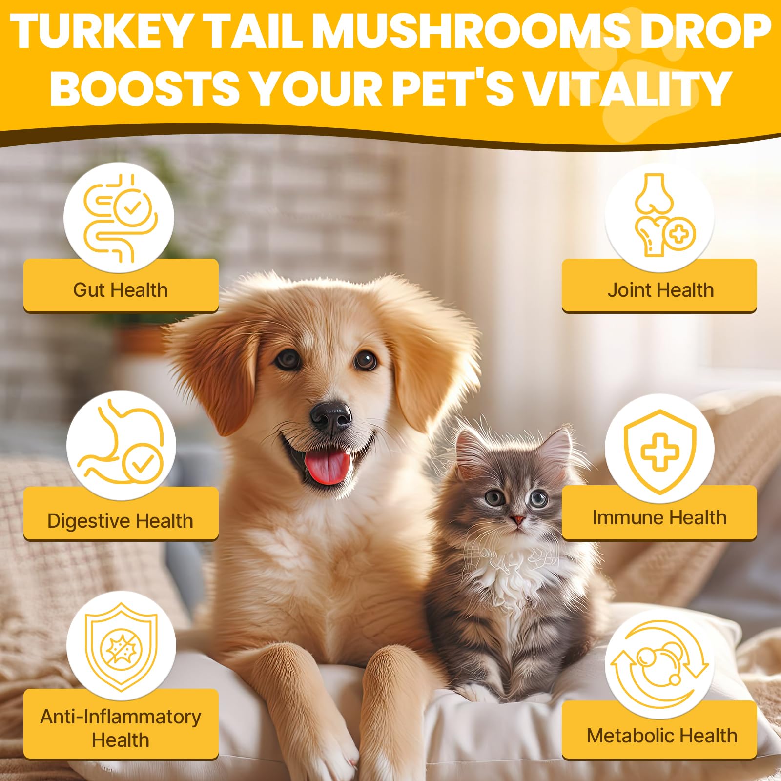 Jazytiko Turkey Tail for Dogs being added to food for digestive support.